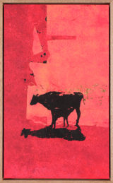 Deux vache de Monsieur Yoshizawa (6-7/355)