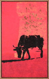 Une Vache de Monsieur Yoshizawa (17/355)