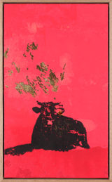 Une Vache de Monsieur Yoshizawa (22/355)