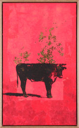 Une Vache de Monsieur Yoshizawa (25/355)